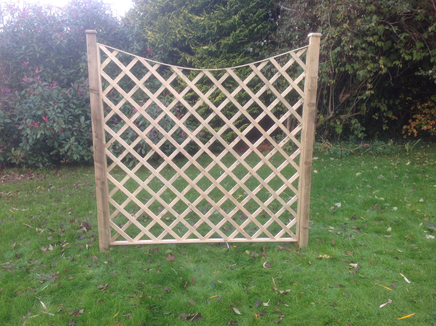 5" Concave Diamond Trellis