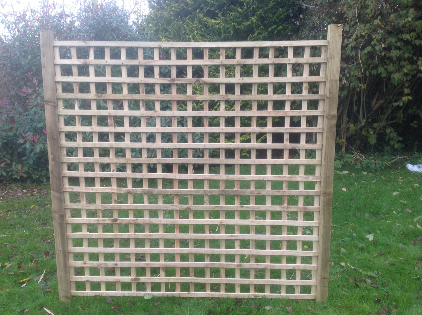 3" Heavy Square Trellis
