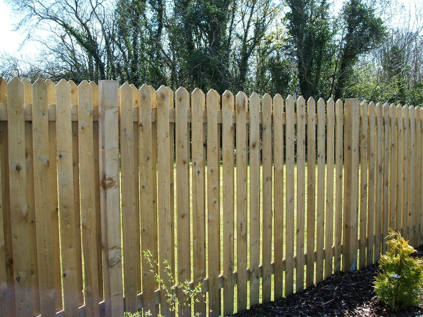 Hit & Miss 4" Pointed Fencing