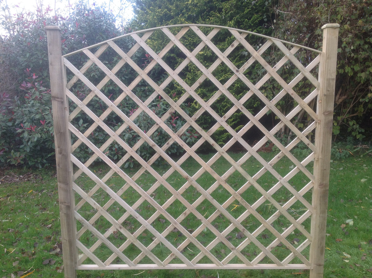 5" Convex Diamond Trellis