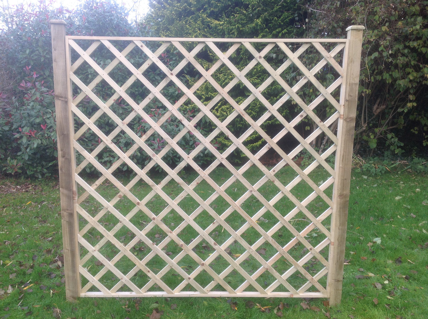 5" Diamond Trellis