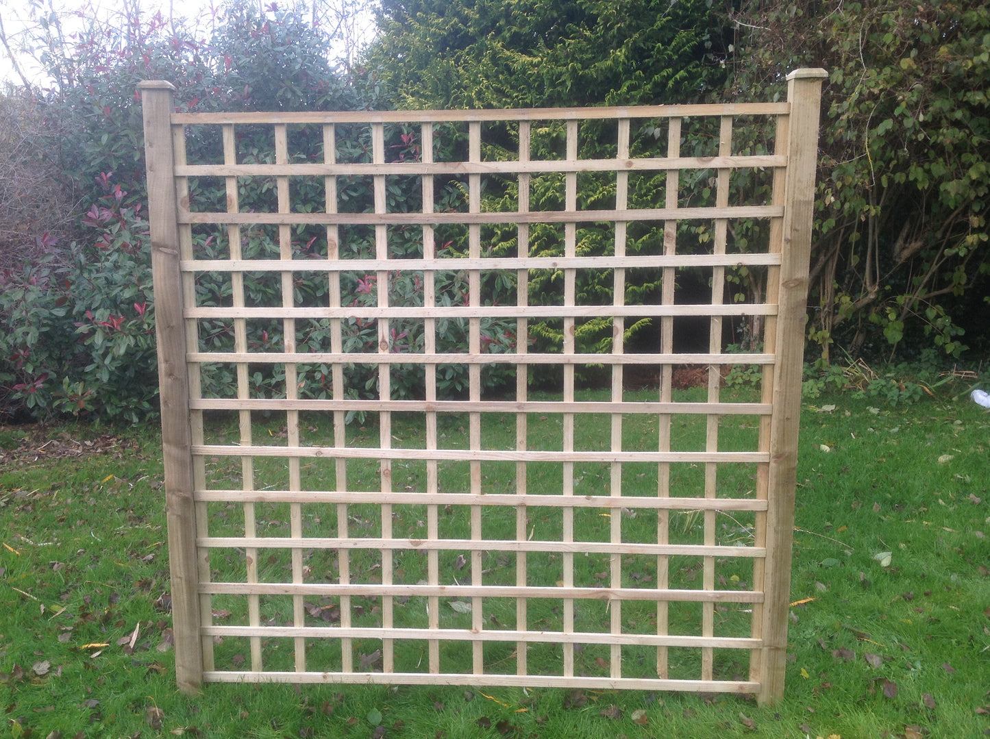 5" Heavy Square Trellis