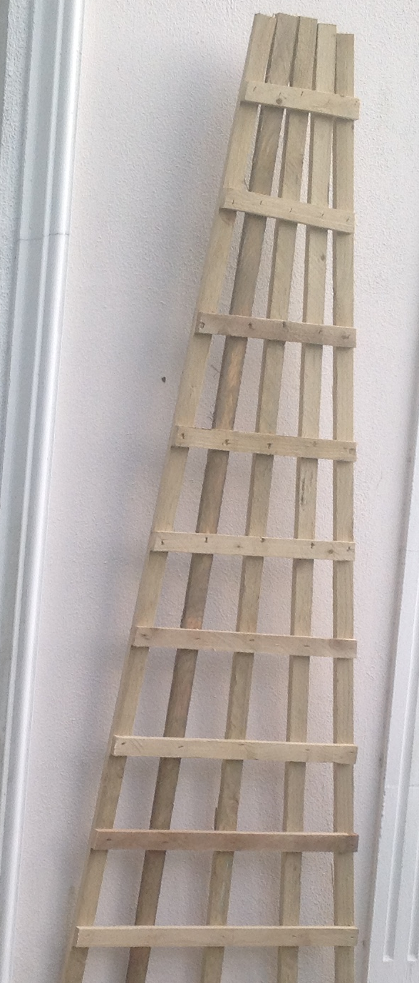 Fan Trellis